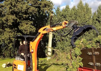Nettoyage des branches d'un cyprès suite à une journée d'élagage en Drôme