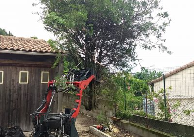 Entretien chez un particulier de son jardin par en Grimpant dans l'arbre en Drôme