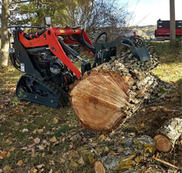 Abattage d'arbre et entretien en Drôme
