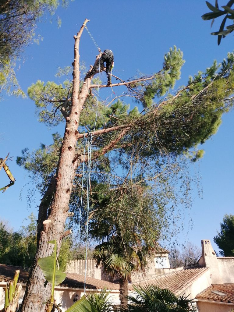 Eagueur en Drôme