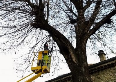 Intervention d'élagage sur nacelle pour un particulier en Drôme