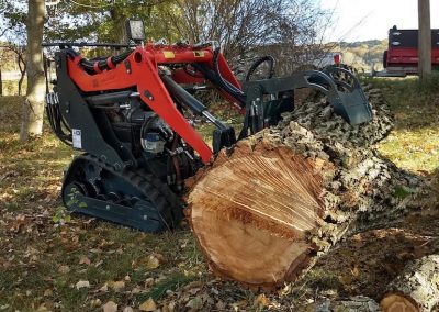 Les machines de pointe d'En Grimant dans l'arbre