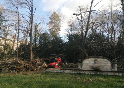 Gros travail d'entretien et sécurisation d'un espace vert par En Grimpant dans l'arbre