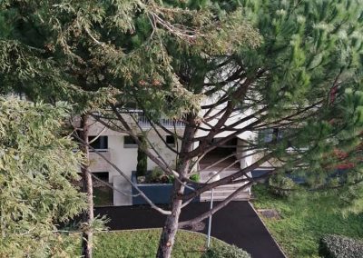 Entretien des arbres et espace vert d'une collectivité par En Grimpant dans l'arbre