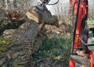 Nettoyage d'un chantier abattage difficile en Drôme
